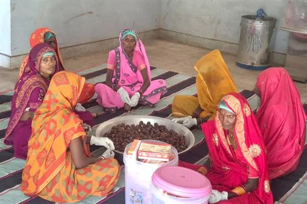पन्ना वन-धन केंद्र के उत्पादों से जुड़ा चित्र